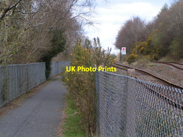 Photo 6"x4" The Granite Way cycle route, and the railway lines at the entrance to Meldon Quarry Okehampton c2013