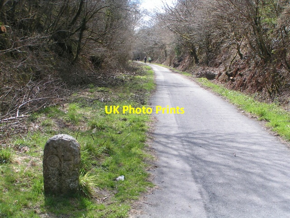 Photo 6"x4" On the Granite Way cycle route, heading west Meldon\/SX5592 c2013