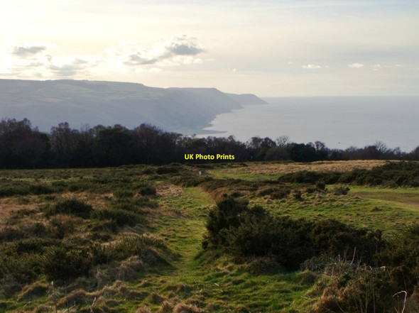 Photo 6"x4" Footpath on Selworthy Beacon Allerford\/SS9047 c2013