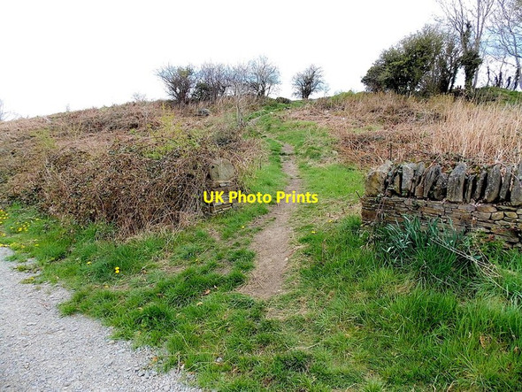Photo 6"x4" Track through Cefn Fforest & Pengam Ecopark Blackwood\/Coed Duon c2013