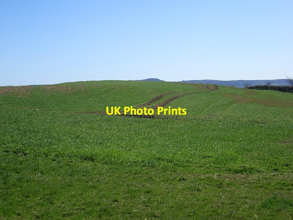 Photo 6"x4" Arable land, North Middleton North Middleton\/NT9924 c2013