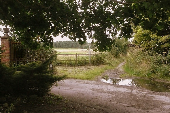 Photo 6"x4" Byway north of Rookery Farm Curridge c2008