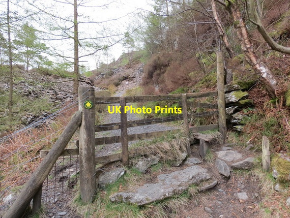 Photo 6"x4" Mynydd Deulyn Trefriw c2013