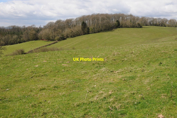 Photo 6"x4" Lower House Big Wood Tal-y-coed c2013