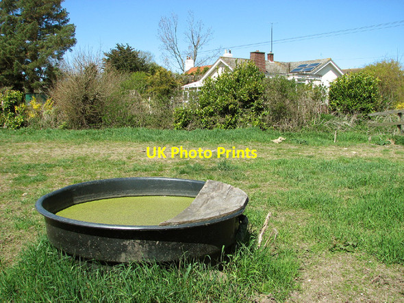 Photo 6"x4" Water trough in pasture by Acle Dyke Acle c2013