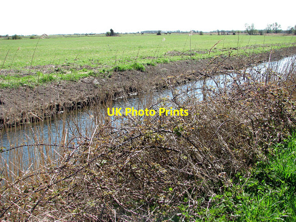 Photo 6"x4" Pastures and drainage ditch by Broad Farm, Acle Acle c2013
