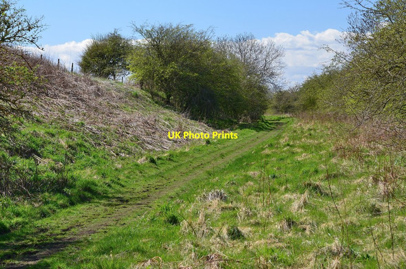 Photo 6"x4" Former railway line near Kerchesters Kerchesters c2013