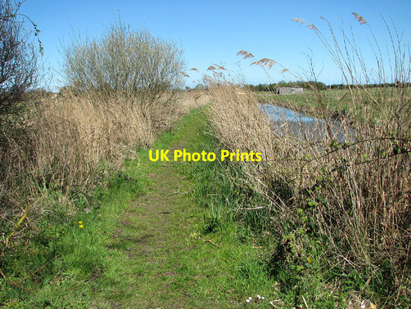 Photo 6"x4" Public footpath from the A47 road to Acle Dyke Acle c2013