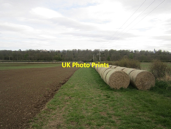 Photo 6"x4" Round bales Kingston\/NT5482 c2013