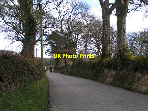 Photo 6"x4" Cyclists on National Cycle Route 27, heading south east Lake\/SX5288 c2013