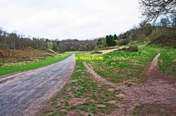 Photo 6"x4" Habberley Valley, Worcs Kidderminster c2013