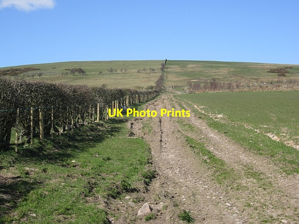 Photo 6"x4" Farm track, Reaveley Ingram c2013