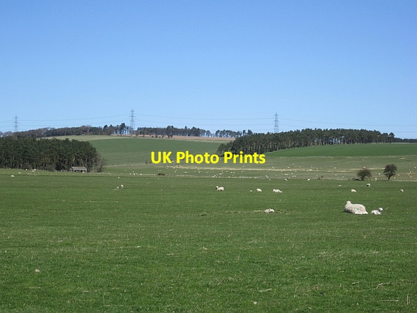 Photo 6"x4" Grassland, Reaveley Ingram c2013