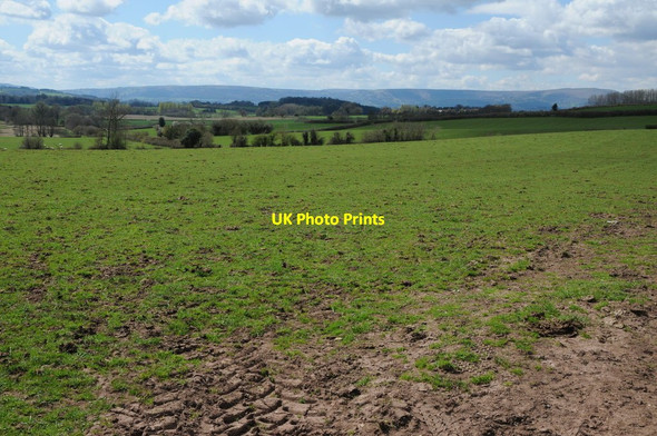 Photo 6"x4" Farmland at Penrhos Penrhos\/SO4111 c2013