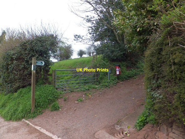 Photo 6"x4" Footpath running north from North Tawton North Tawton c2013