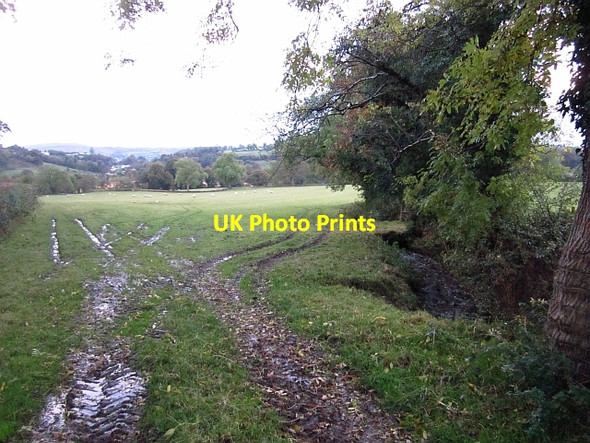 Photo 6"x4" Field off Taboe Road Dunnamanagh c2012