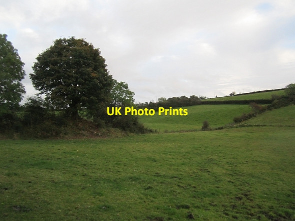 Photo 6"x4" Bunowen Townland Dunnamanagh c2012