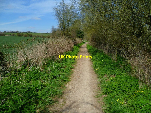 Photo 6"x4" The Orange Way in Wiltshire (189) Salisbury c2013