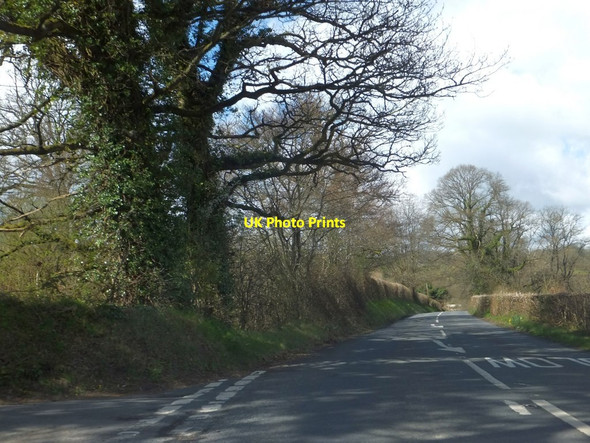 Photo 6"x4" A377 looking west near Bridge Farm Burrington\/SS6316 c2013
