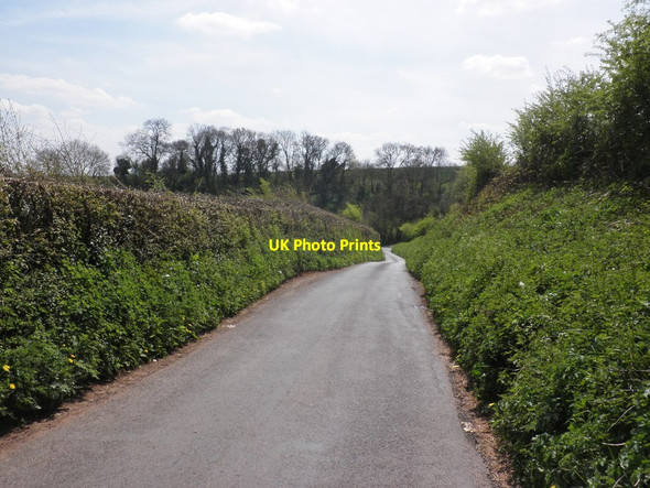 Photo 6"x4" Minor road to Milverton Halse\/ST1427 c2013