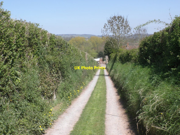 Photo 6"x4" Access track near Blake's Farm Northway\/ST1329 c2013