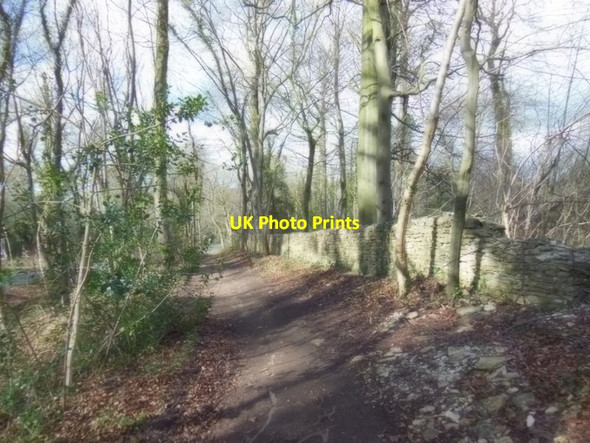 Photo 6"x4" Walking towards Cranham Corner High Brotheridge c2013