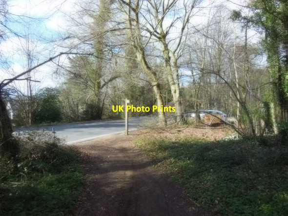 Photo 6"x4" The path joins Sanatorium Road High Brotheridge c2013