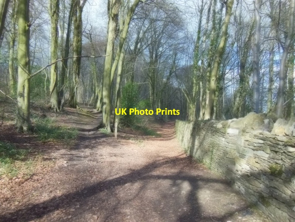 Photo 6"x4" The Cotswold Way towards Pillow Mound Cranham\/SO8912 c2013