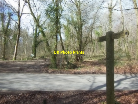 Photo 6"x4" The Cotswold Way crosses over Portway (road) Cranham\/SO8912 c2013