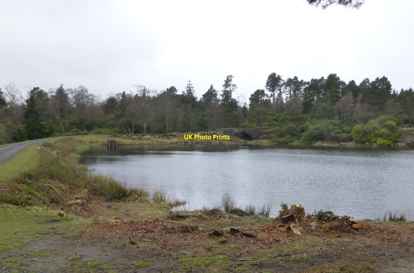 Photo 6"x4" Nelly Moss South Lake Knocklaw c2013