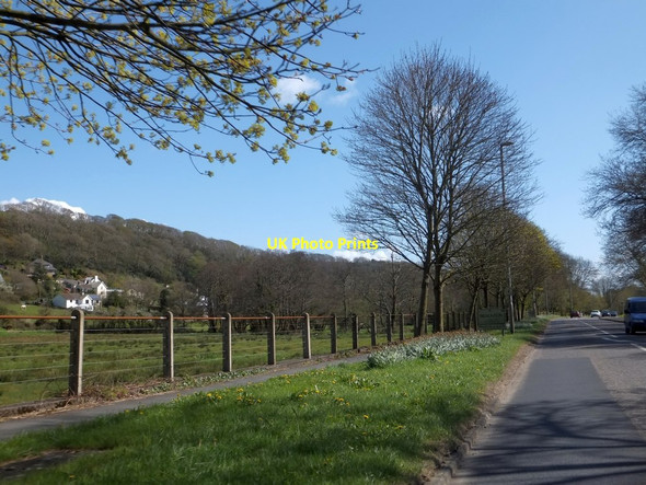 Photo 6"x4" Fields and woods north of Braunton Braunton c2013
