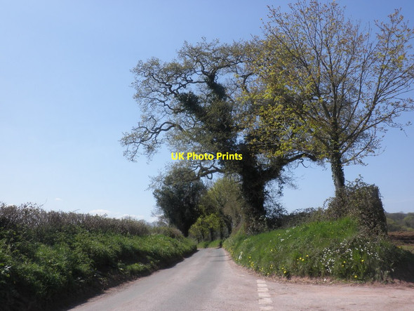 Photo 6"x4" Turning for Milverton Chipley\/ST1123 c2013