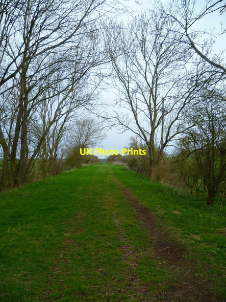 Photo 6"x4" The Orange Way in Wiltshire (326) Brunton\/SU2456 c2013