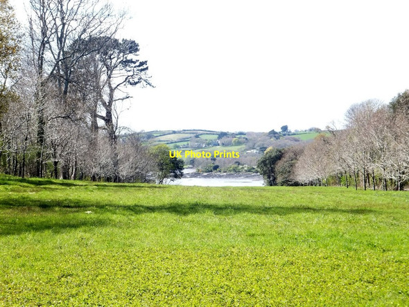 Photo 6"x4" Lynher River seen along a vista line from Antony House Saltash\/SX4258 c2013