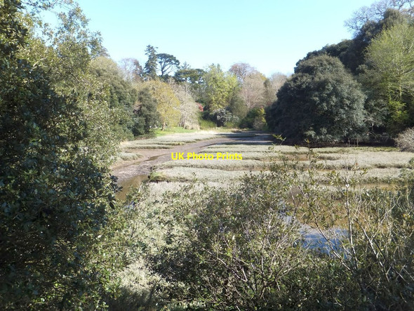 Photo 6"x4" Former salt-pans in the Woodland Garden at Antony House Saltash\/SX4258 c2013