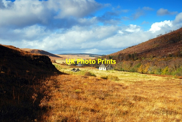 Photo 6"x4" Old Strath Oykel Ruin Caplich Wood c2010