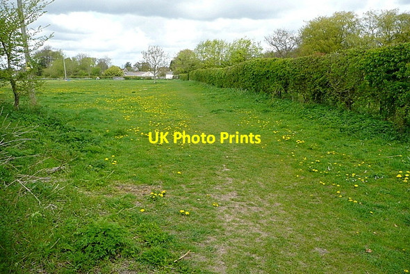Photo 6"x4" Approaching Chalgrove Chalgrove c2013