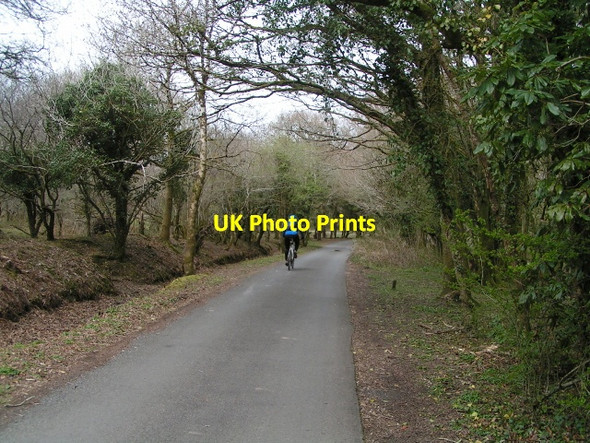 Photo 6"x4" On National Cycle Route 27 heading into Yelverton Axtown c2013