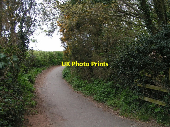 Photo 6"x4" National Cycle Route 2, heading towards Exmouth from Bear Lane Budleigh Salterton c2013