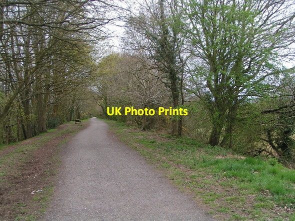 Photo 6"x4" National Cycle Route 2, heading to Exmouth Littleham\/SY0281 c2013
