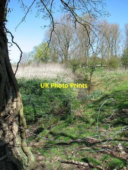 Photo 6"x4" The northern edge of Beccles Common Beccles c2013