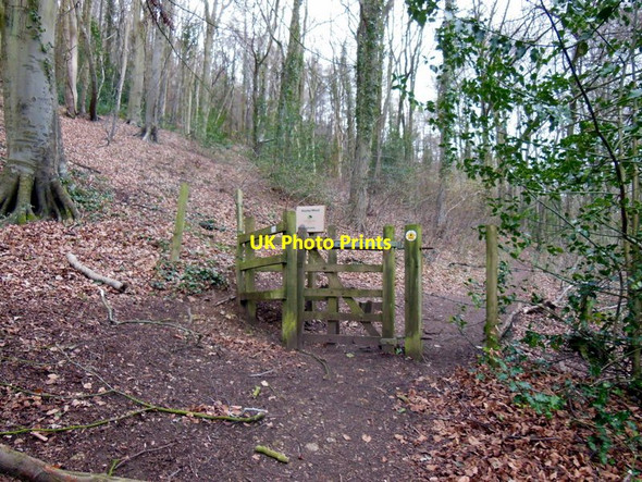 Photo 6"x4" The Cotswold Way in Stanley Wood Leonard Stanley c2013