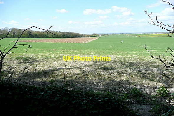 Photo 6"x4" Lunch view Britwell Salome c2013