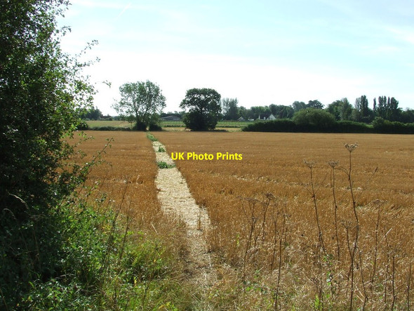 Photo 6"x4" Clear Footpath Belchamp Otten c2012