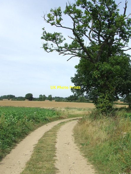 Photo 6"x4" Farm Track Belchamp Walter c2012