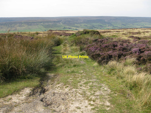 Photo 6"x4" Track to grouse butts down Low Blakey Moor Church Houses c2012
