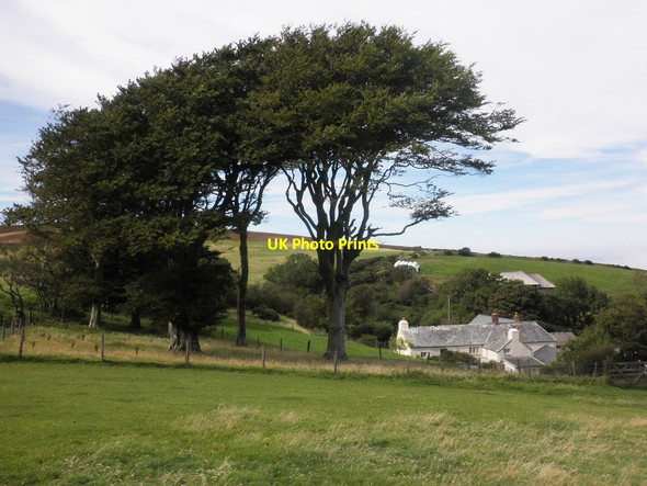 Photo 6"x4" Kipscombe Farm Countisbury c2012