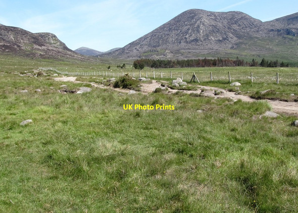 Photo 6"x4" The Carrick Little Track with Slievelamagan in the background Annalong c2011