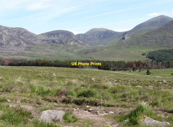 Photo 6"x4" View NNE towards Annalong Wood Annalong c2011