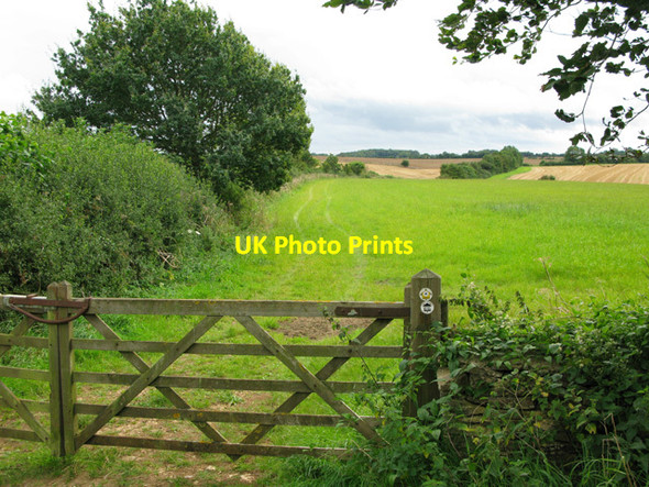 Photo 6"x4" View S along Monarch's Way path Ashley\/ST9394 c2012